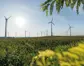 Im Hintergrund drehen sich Windräder vor einem blauem Himmel. Im Vordergrund sieht man ein Rapsfeld und Sträucher.