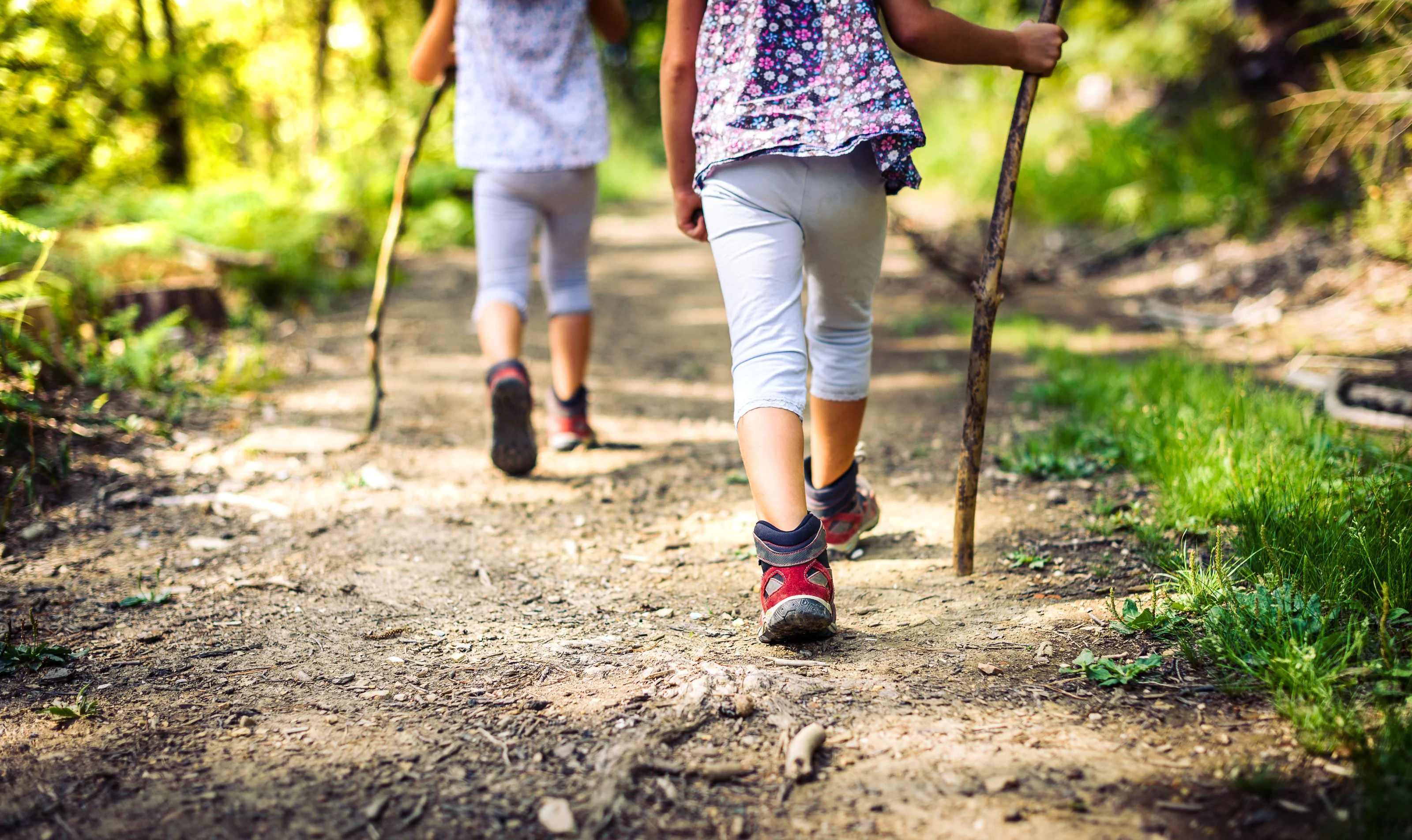 Nahaufnahme von Kindern, die auf einem Waldweg wandern. Man sieht nur ihr Beine und Füße.