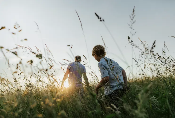 Vater und Sohn gehen bei Sonnenuntergang durch eine hohe blühende Wiese. Man sieht sie nur von hinten vor dem Sonnenuntergang.