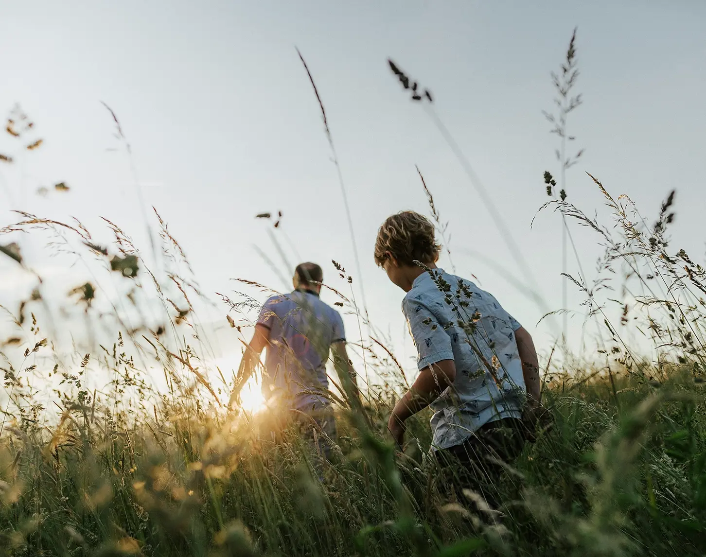 Vater und Sohn gehen bei Sonnenuntergang durch eine hohe blühende Wiese. Man sieht sie nur von hinten vor dem Sonnenuntergang.