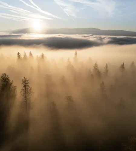 Wir sehen eine Flugaufnahmen über einen nebenverhangenen Waldgebiet bei Sonnenaufgang mit einigen Bergen im Hintergrund.