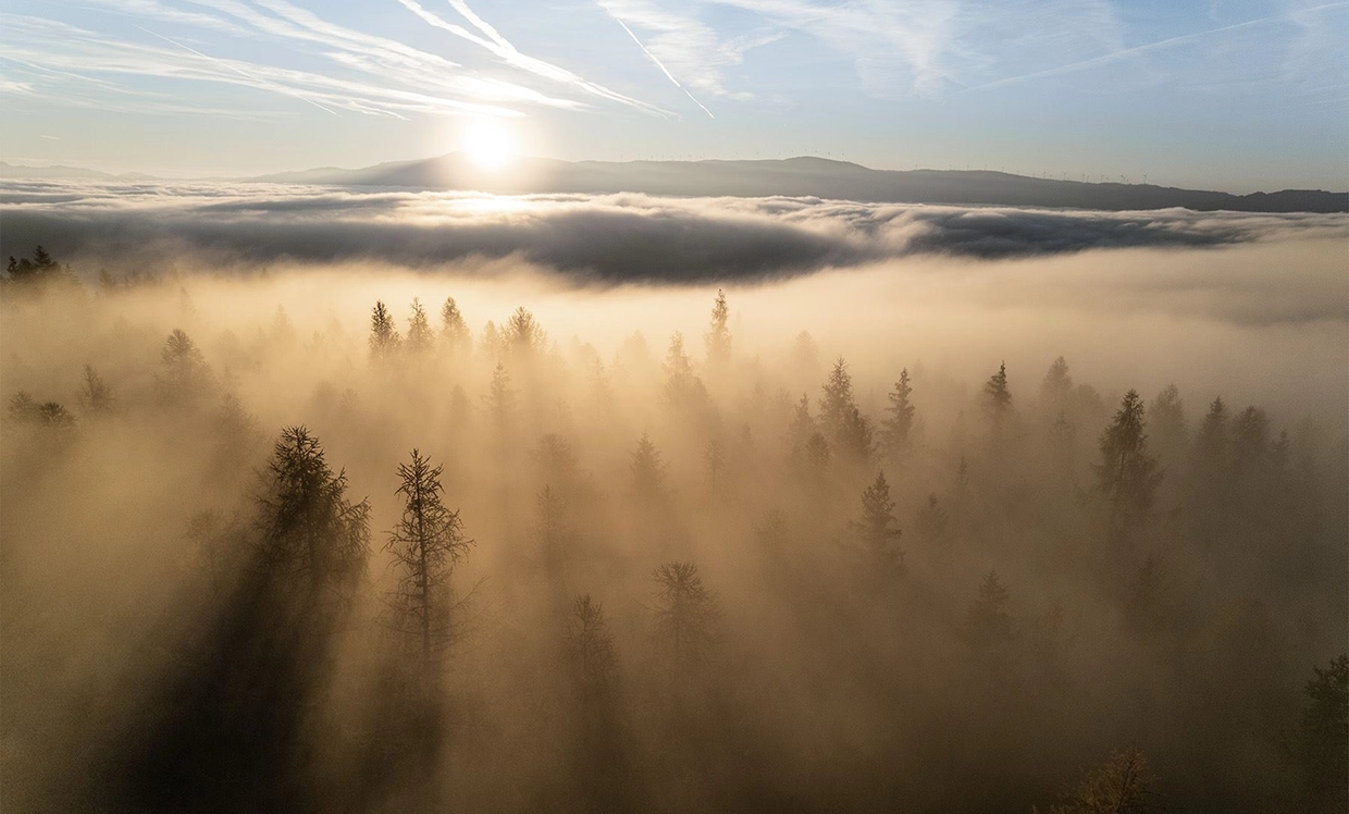 Wir sehen eine Flugaufnahmen über einen nebenverhangenen Waldgebiet bei Sonnenaufgang mit einigen Bergen im Hintergrund.