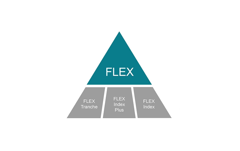 Das Bild zeigt eine Pyramide: Oben in der türkisfarbene Spitze steht das Wort FLEX. Darunter steht: Flex Tranche, Flex Index Plus und Flex Index.